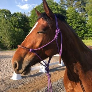 Meet your Posher, Emma